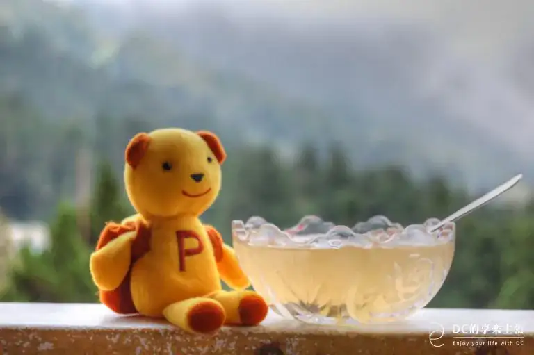 玩在嘉義 奮起湖 杉林步道散策 雙老街 與 在地必吃美食 懶人包