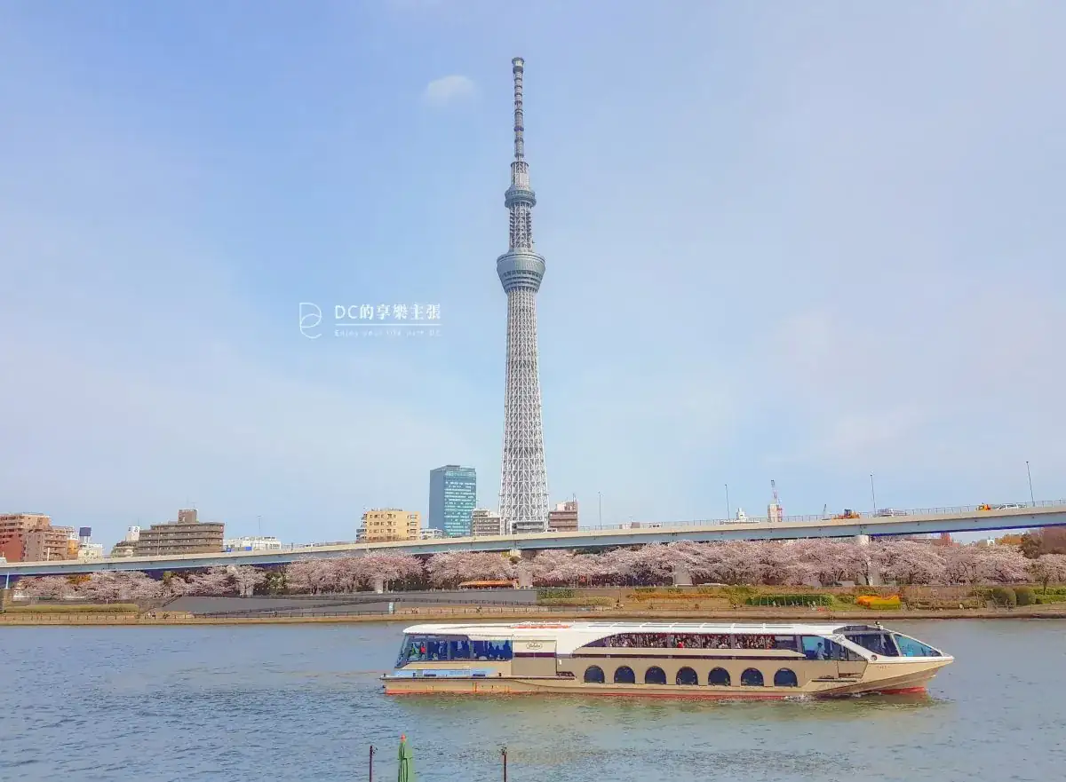 玩在日本 東京賞櫻 隅田公園 500株櫻花盛開  晴空塔 隅田川遊船 夜櫻 日夜或海陸 多種賞櫻提案